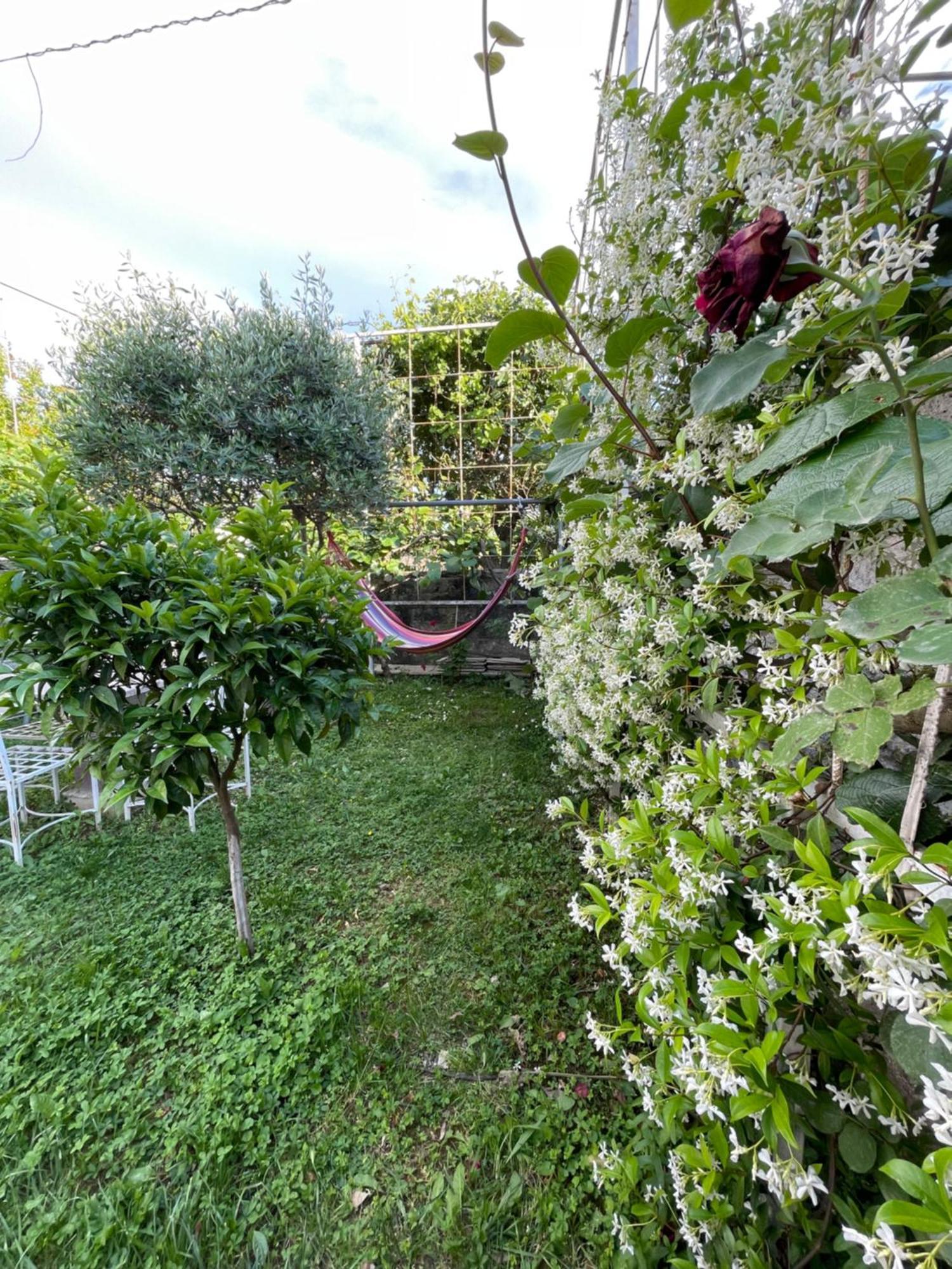 Vila Nela Shkodër Exterior foto