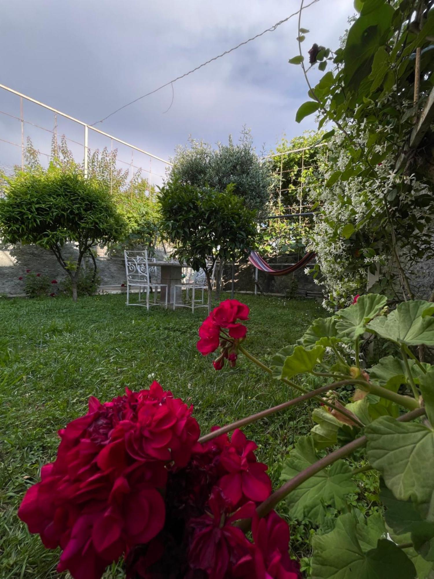 Vila Nela Shkodër Exterior foto