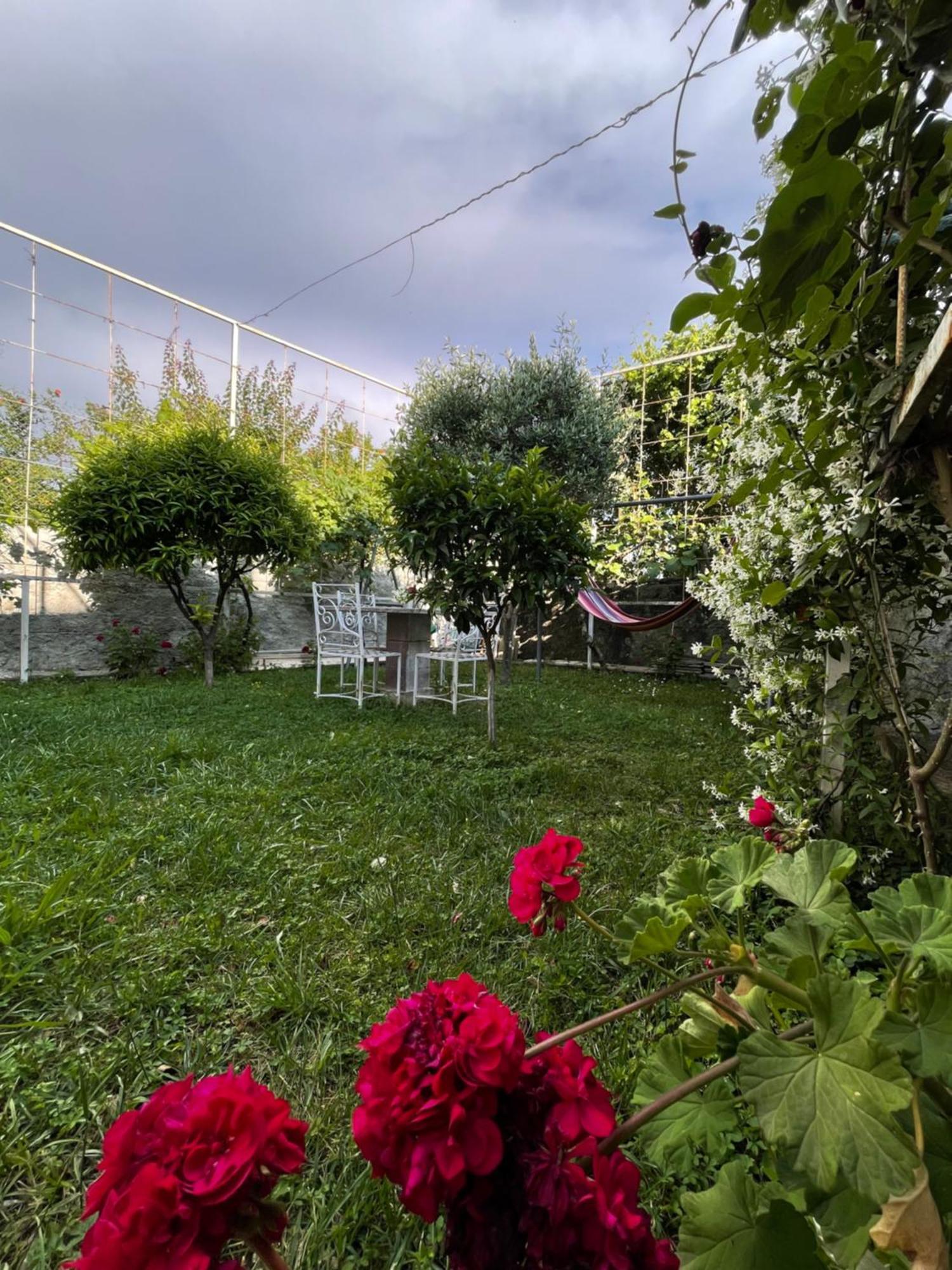 Vila Nela Shkodër Exterior foto